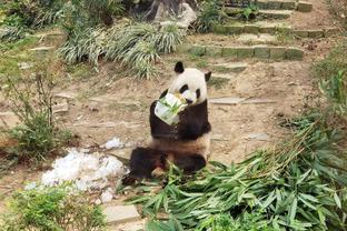 天使来了！迪马利亚替补登场，迎来在阿根廷主场最后一战